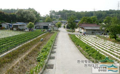 대표시청각 이미지