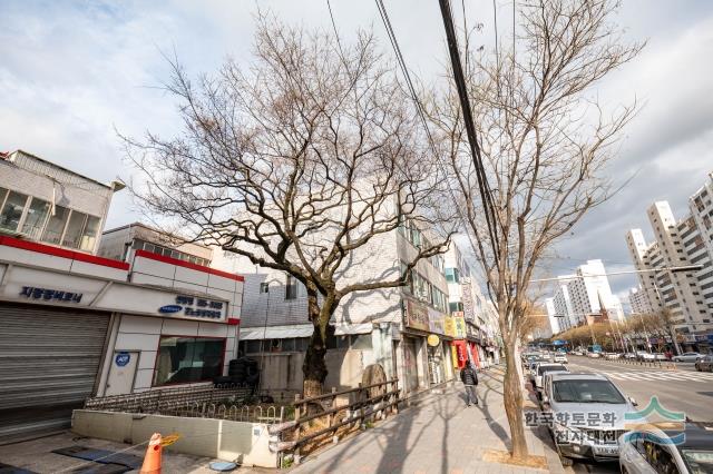 대표시청각 이미지